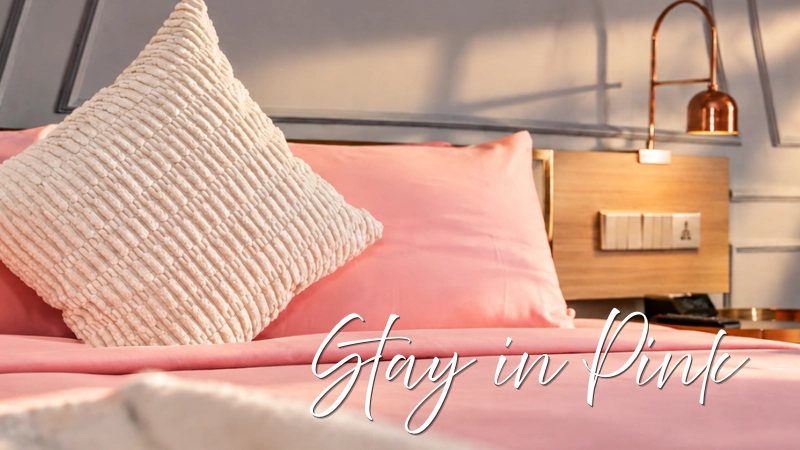 Stay in Pink - Offer Page Artwork